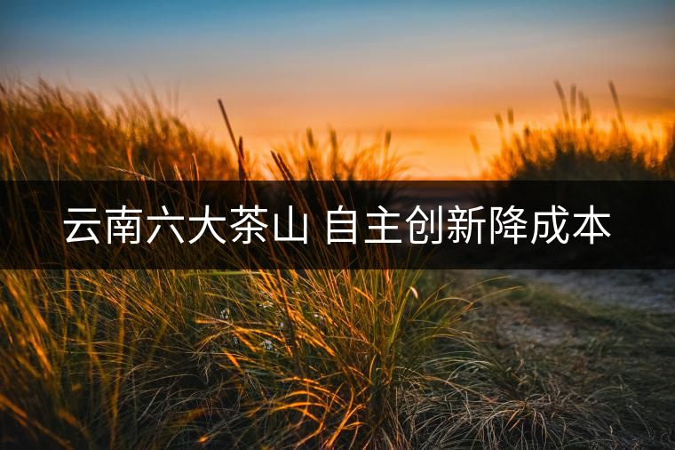 云南六大茶山 自主創新降成本 云南六大茶山 自主創新降成本