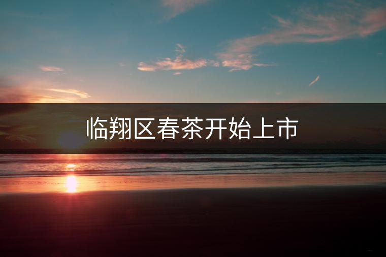 臨翔區春茶開始上市