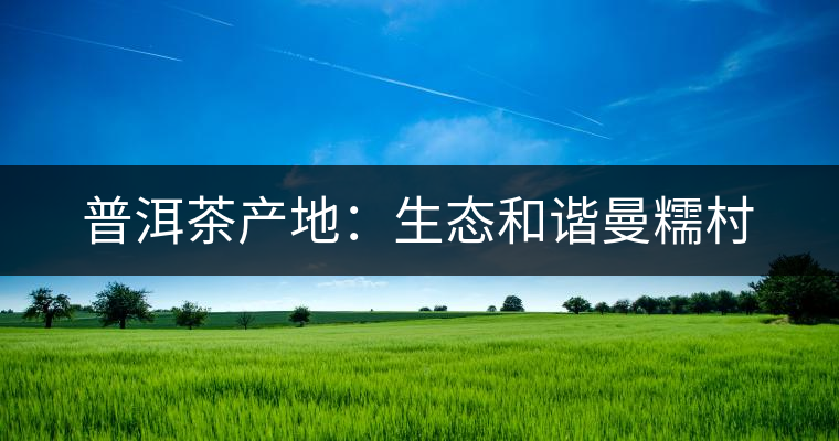 普洱茶產(chǎn)地:生態(tài)和諧曼糯村 普洱茶產(chǎn)地:生態(tài)和諧曼糯村