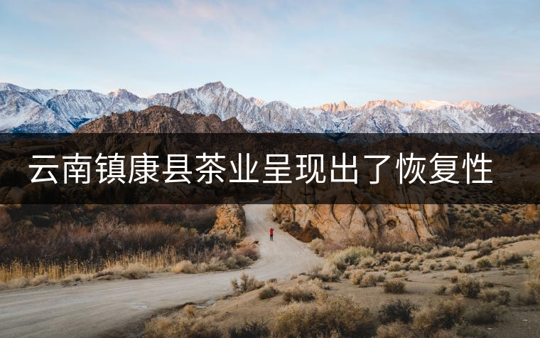 云南鎮康縣茶業呈現出了恢復性增長的態勢 云南鎮康縣茶業呈現出了恢復性增長的態勢