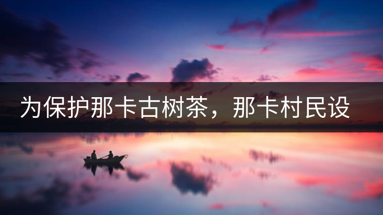 為保護那卡古樹茶,那卡村民設(shè)公約牌 為保護那卡古樹茶,那卡村民設(shè)公約牌