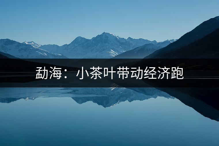 勐海:小茶葉帶動經濟跑 勐海:小茶葉帶動經濟跑