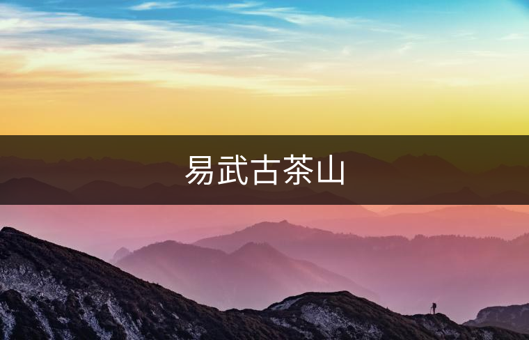 易武古茶山 易武古茶山