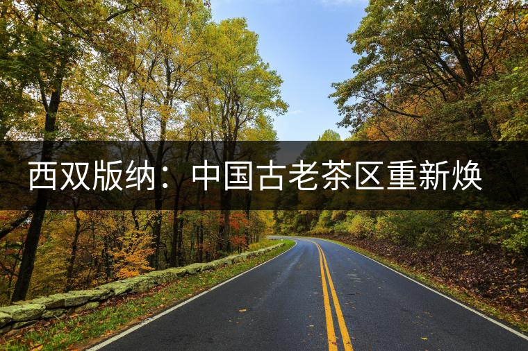 西雙版納:中國(guó)古老茶區(qū)重新煥發(fā)活力 西雙版納:中國(guó)古老茶區(qū)重新煥發(fā)活力