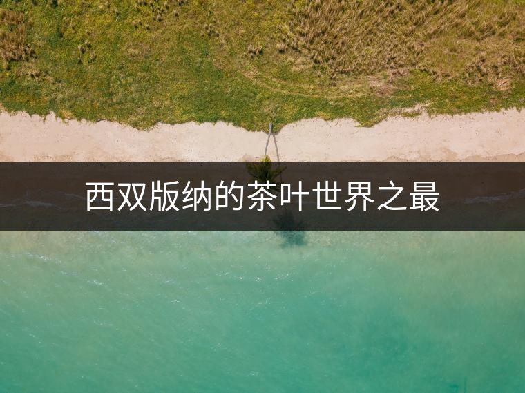 西雙版納的茶葉世界之最 西雙版納的茶葉世界之最