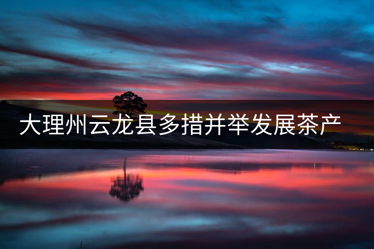 大理州云龍縣多措并舉發展茶產業 大理州云龍縣多措并舉發展茶產業