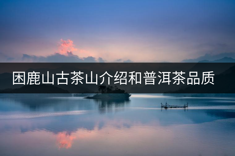 困鹿山古茶山介紹和普洱茶品質(zhì)特色 困鹿山古茶山介紹和普洱茶品質(zhì)特色