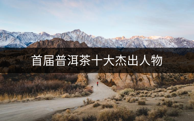 首屆普洱茶十大杰出人物