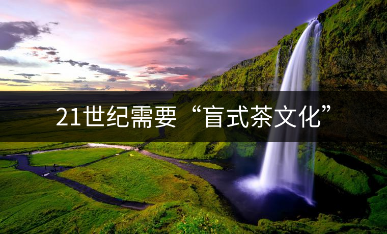 21世紀需要“盲式茶文化” 21世紀需要“盲式茶文化”