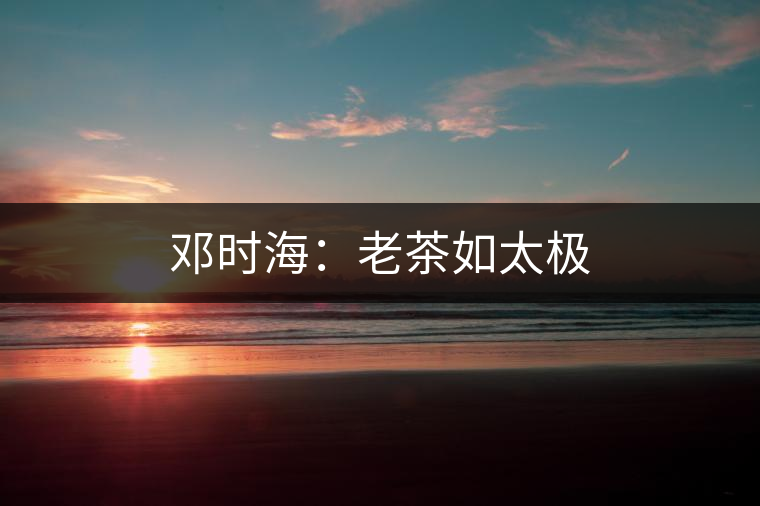 鄧時海：老茶如太極