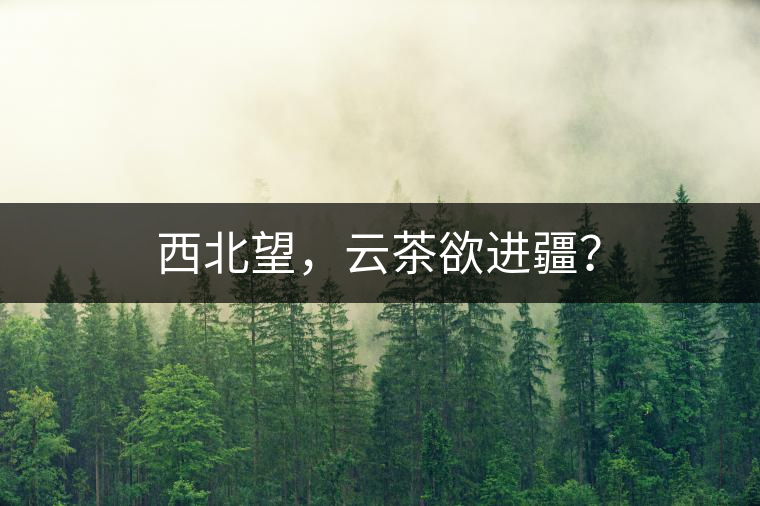 西北望，云茶欲進疆？