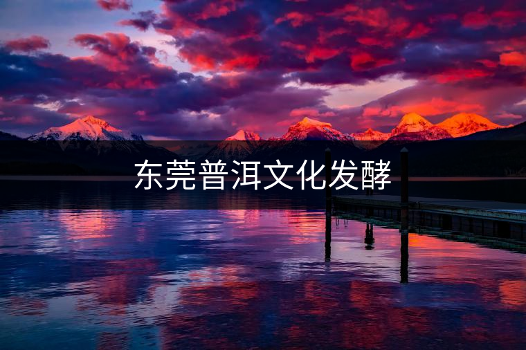 東莞普洱文化發酵