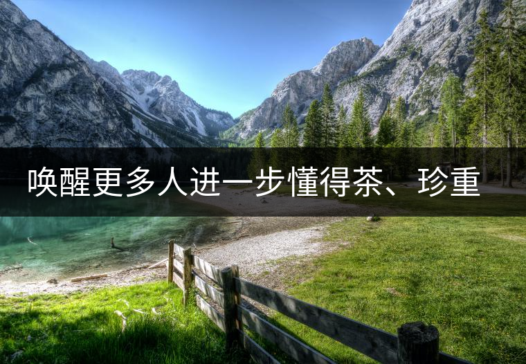 喚醒更多人進一步懂得茶、珍重茶、享受茶