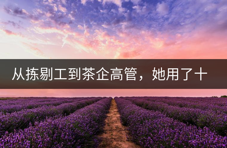 從揀剔工到茶企高管,她用了十年時(shí)間 從揀剔工到茶企高管,她用了十年時(shí)間