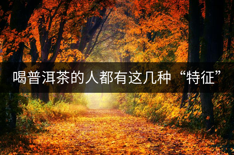 喝普洱茶的人都有這幾種“特征”