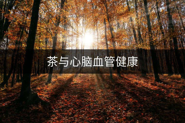 茶與心腦血管健康 茶與心腦血管健康