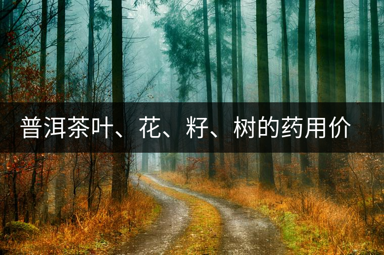 普洱茶葉、花、籽、樹的藥用價值 普洱茶葉、花、籽、樹的藥用價值