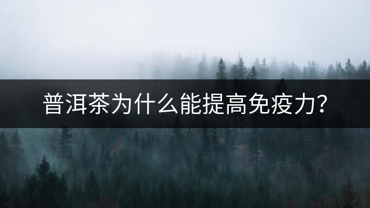 普洱茶為什么能提高免疫力? 普洱茶為什么能提高免疫力?