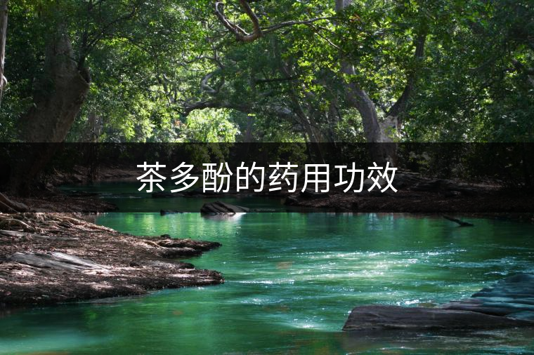 茶多酚的藥用功效 茶多酚的藥用功效