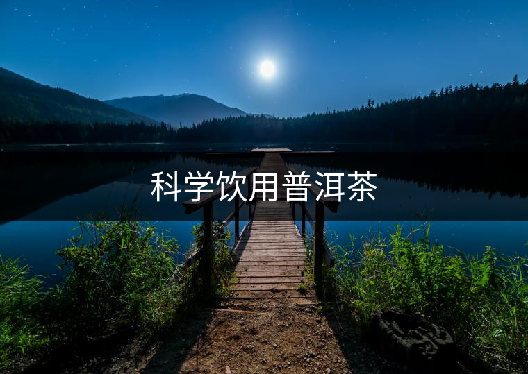 科學飲用普洱茶