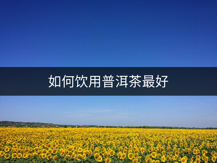 如何飲用普洱茶最好 如何飲用普洱茶最好