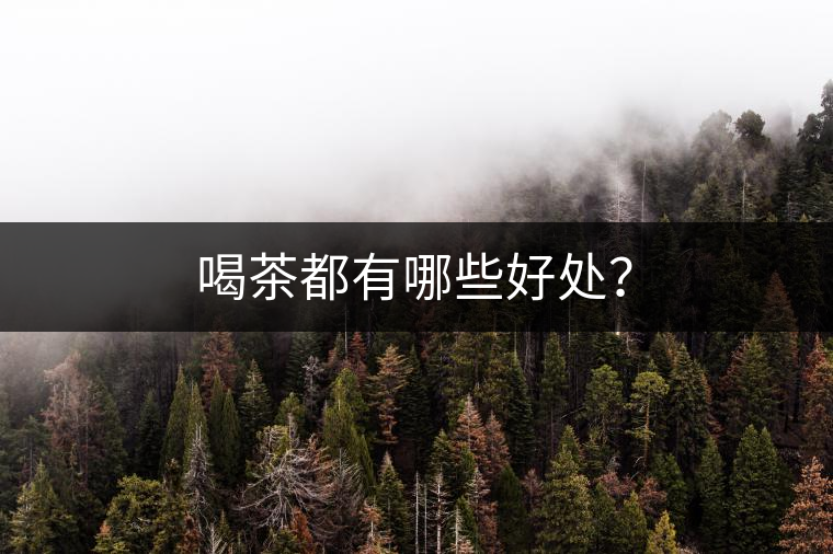 喝茶都有哪些好處? 喝茶都有哪些好處?