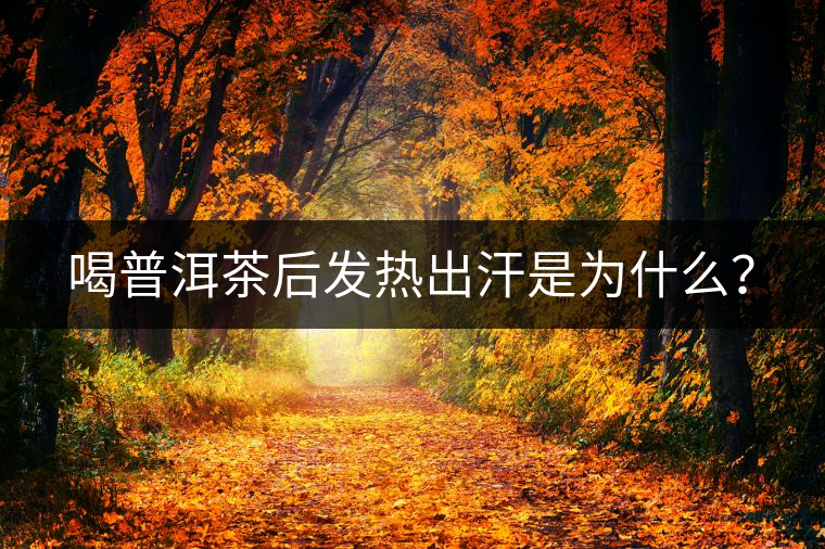 喝普洱茶后發熱出汗是為什么? 喝普洱茶后發熱出汗是為什么?