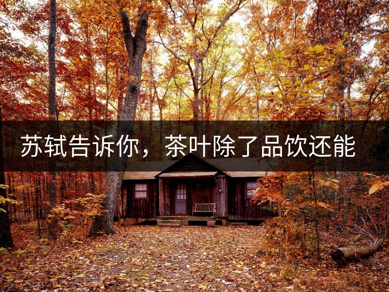 蘇軾告訴你,茶葉除了品飲還能做什么? 蘇軾告訴你,茶葉除了品飲還能做什么?