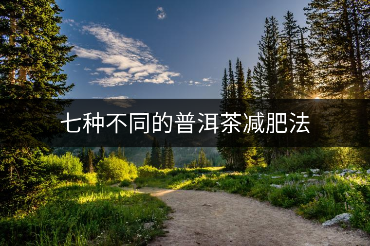 七種不同的普洱茶減肥法