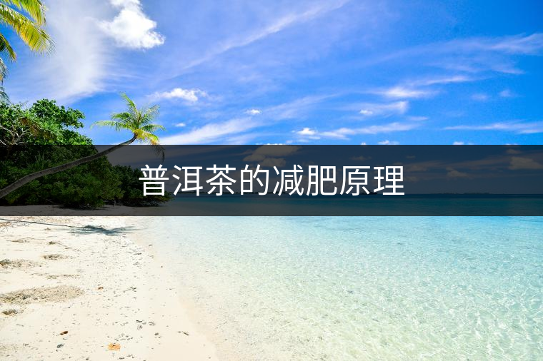 普洱茶的減肥原理 普洱茶的減肥原理