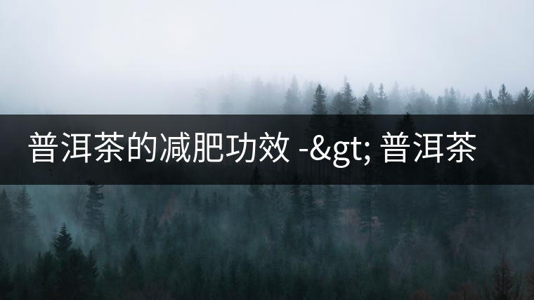 普洱茶的減肥功效 -> 普洱茶減肥基理 普洱茶的減肥功效 -> 普洱茶減肥基理