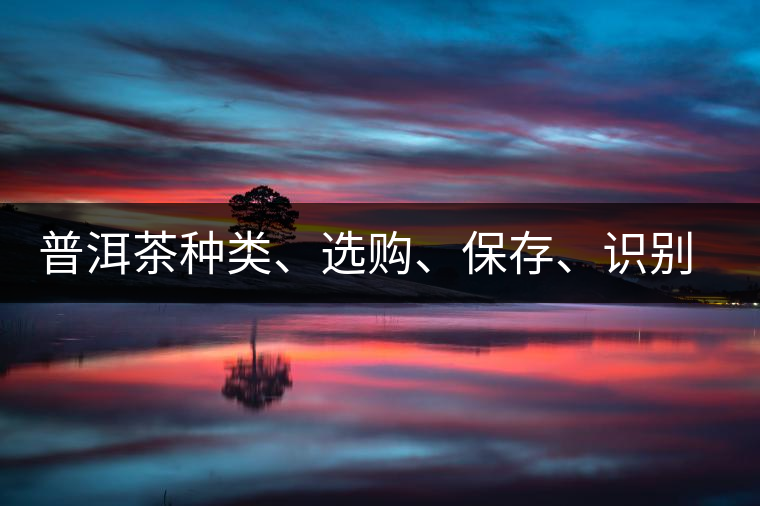 普洱茶種類、選購、保存、識別、沖泡 普洱茶種類、選購、保存、識別、沖泡