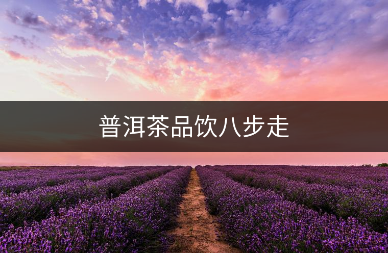 普洱茶品飲八步走