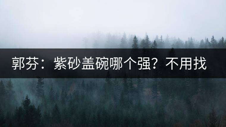 郭芬:紫砂蓋碗哪個強?不用找藍翔 郭芬:紫砂蓋碗哪個強?不用找藍翔