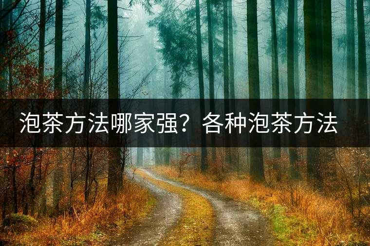泡茶方法哪家強?各種泡茶方法介紹 泡茶方法哪家強?各種泡茶方法介紹