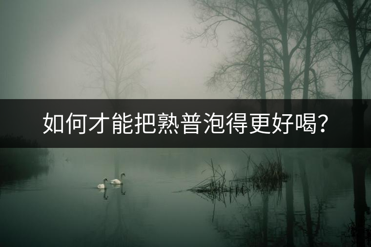 如何才能把熟普泡得更好喝? 如何才能把熟普泡得更好喝?