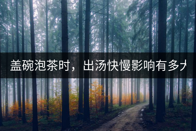 蓋碗泡茶時，出湯快慢影響有多大？