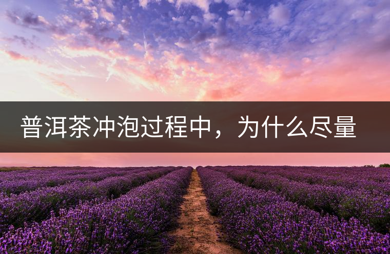 普洱茶沖泡過程中,為什么盡量不要翻動葉底? 普洱茶沖泡過程中,為什么盡量不要翻動葉底?