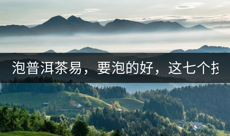 泡普洱茶易,要泡的好,這七個技巧很重要! 泡普洱茶易,要泡的好,這七個技巧很重要!