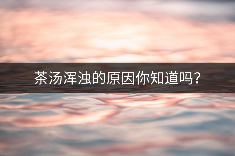 茶湯渾濁的原因你知道嗎？