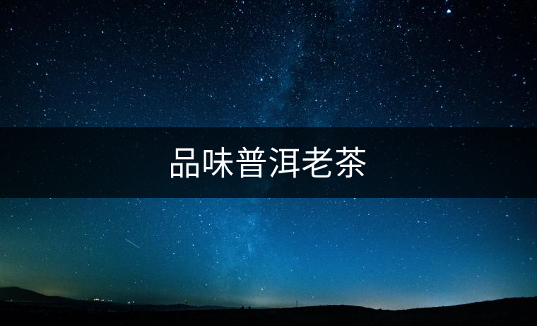 品味普洱老茶 品味普洱老茶