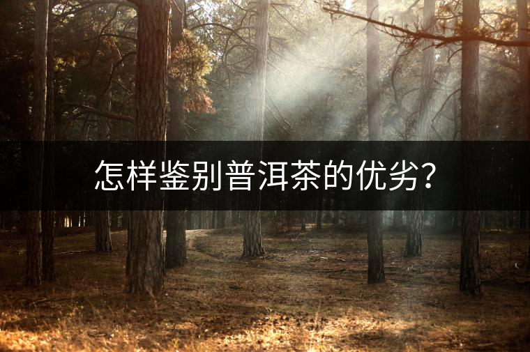 怎樣鑒別普洱茶的優劣？