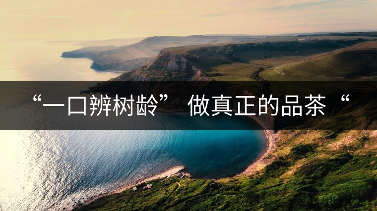 “一口辨樹(shù)齡” 做真正的品茶“大師”！