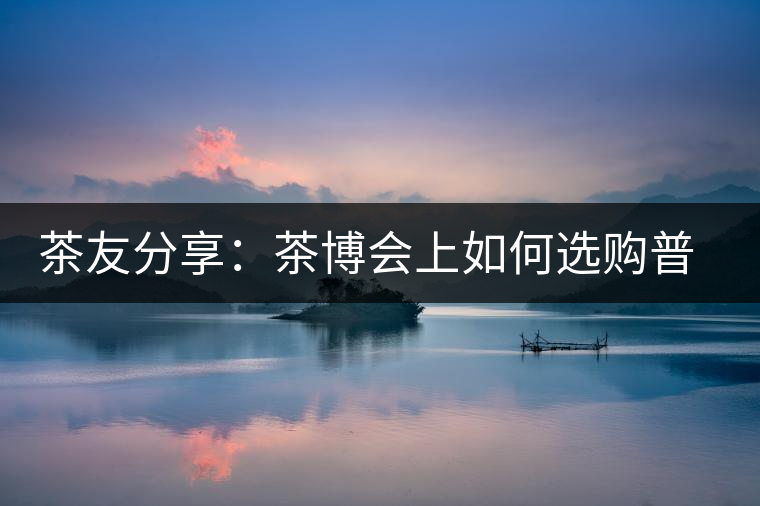茶友分享:茶博會上如何選購普洱茶? 茶友分享:茶博會上如何選購普洱茶?