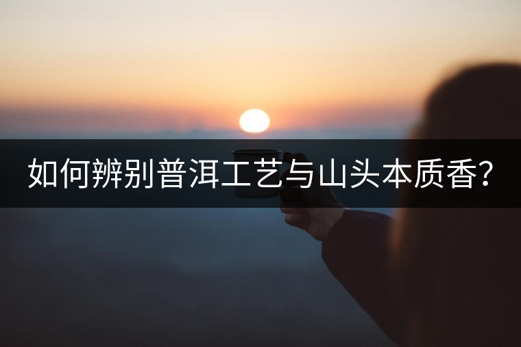 如何辨別普洱工藝與山頭本質香? 如何辨別普洱工藝與山頭本質香?