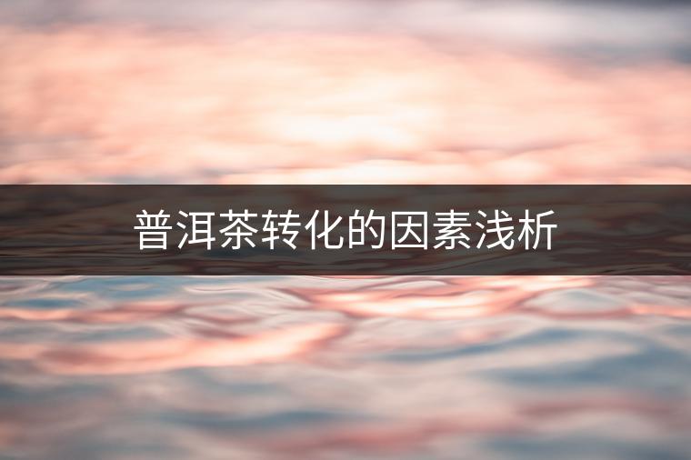 普洱茶轉化的因素淺析 普洱茶轉化的因素淺析