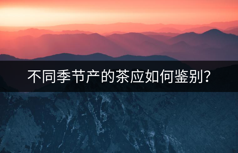 不同季節產的茶應如何鑒別？