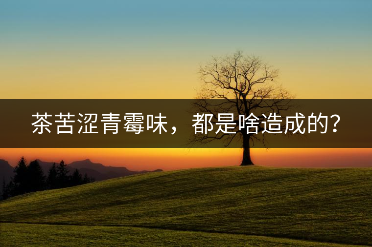 茶苦澀青霉味，都是啥造成的？