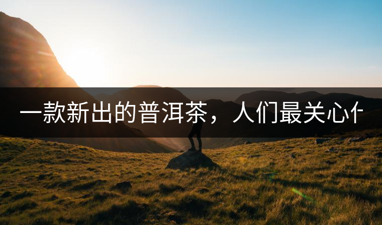 一款新出的普洱茶,人們最關(guān)心什么? 一款新出的普洱茶,人們最關(guān)心什么?