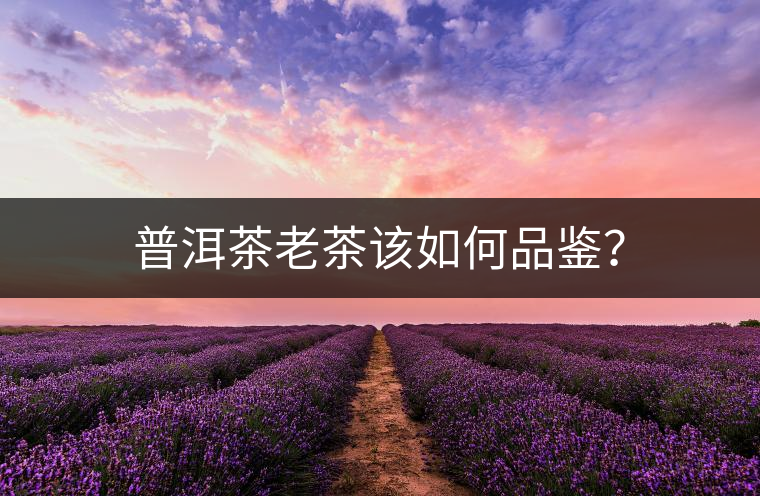 普洱茶老茶該如何品鑒? 普洱茶老茶該如何品鑒?